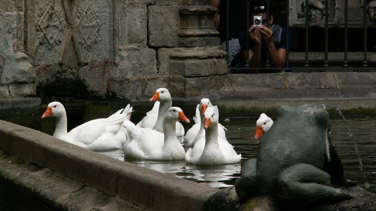 "По весточке": удивительно!